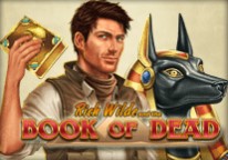 Book of Dead Unique casino